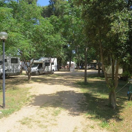 ביוגראד נה מורו Camping Mia Bungalow & Mobile Home מראה חיצוני תמונה